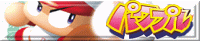 �p���v���l